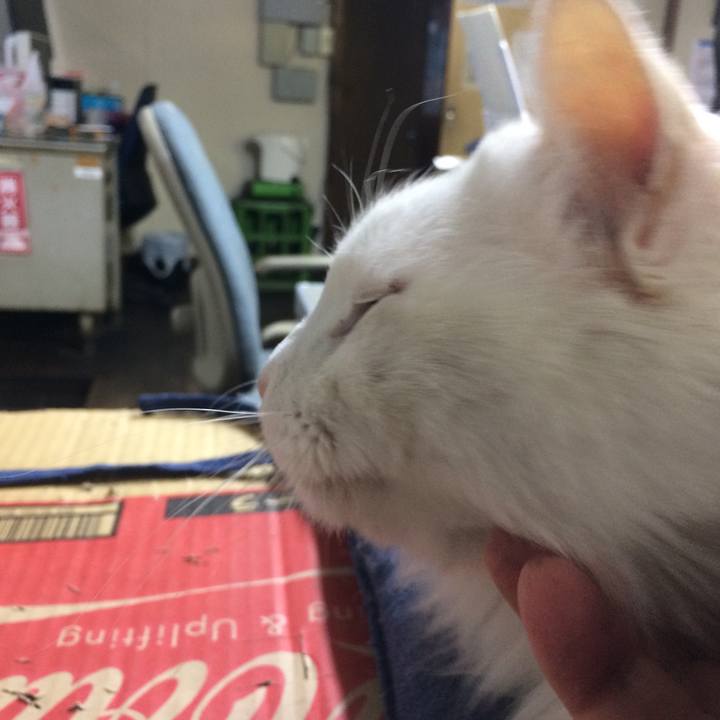 5e16fba4 163f 4fb0 861f 4bfb0c68a869 1516573634747