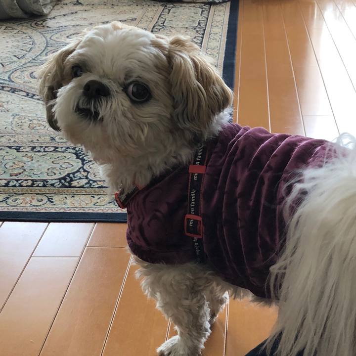 5e170cce 97b6 4fb0 8446 a908032c61b0 1587172018982