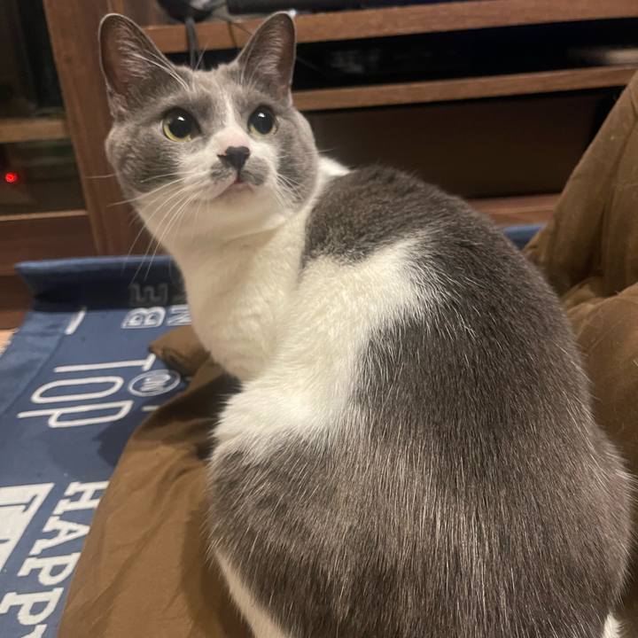 5e175e8c 8fe4 4def 9203 7bd5fc835959 1701705820134