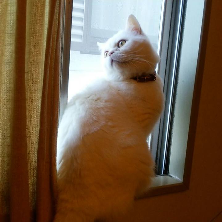 5e1771f5 823f 4254 9854 f30cfa8f88fd 1516667715415