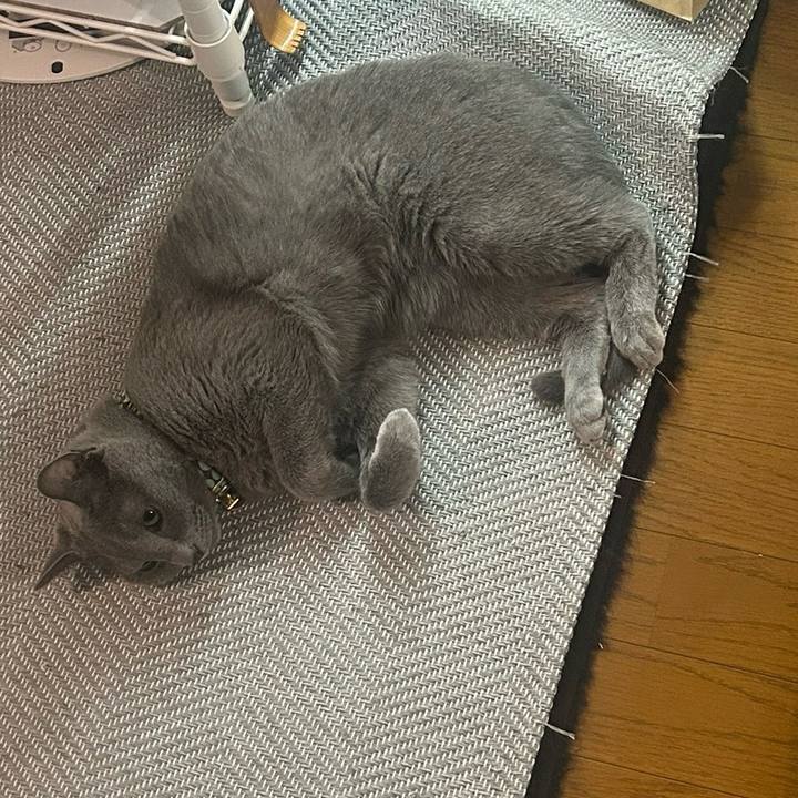 5e178c7b cefc 46d5 aa18 32b9f27737a2 1720582222644