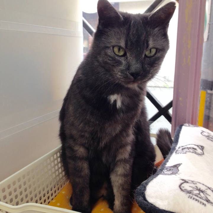 5e179201 41d9 4d06 bb1c c6629c4bc3cd 1512261425141