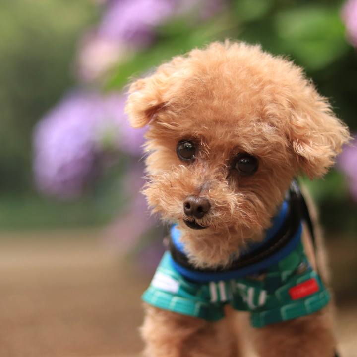 5e179b4c b18b 4dc2 9c76 83117264da92 1665154180415