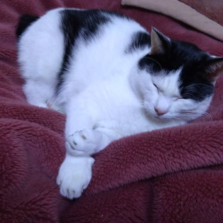 5e179e6d d0e4 4bb1 b7af 913af0c263de 1519044821941