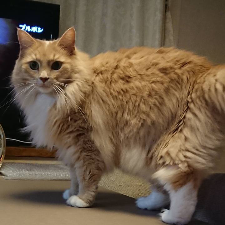 5e17cb16 20b7 4f06 9b05 5b9afb245684 1541812696000