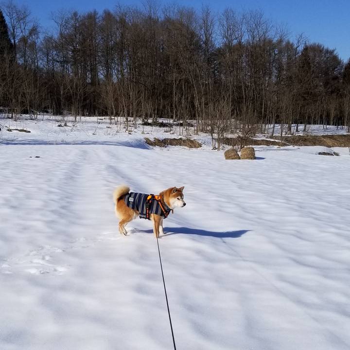 5e17d720 49f2 4b39 ac08 059312ef8497 1582263745717