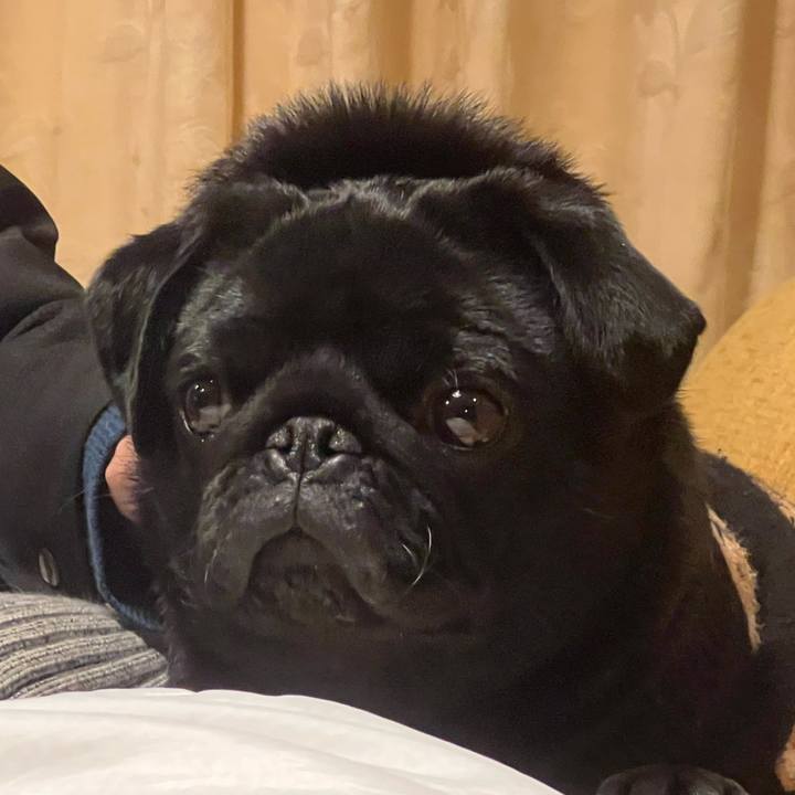 5e17faf8 e26d 4088 9d39 47479c331616 1643514320998