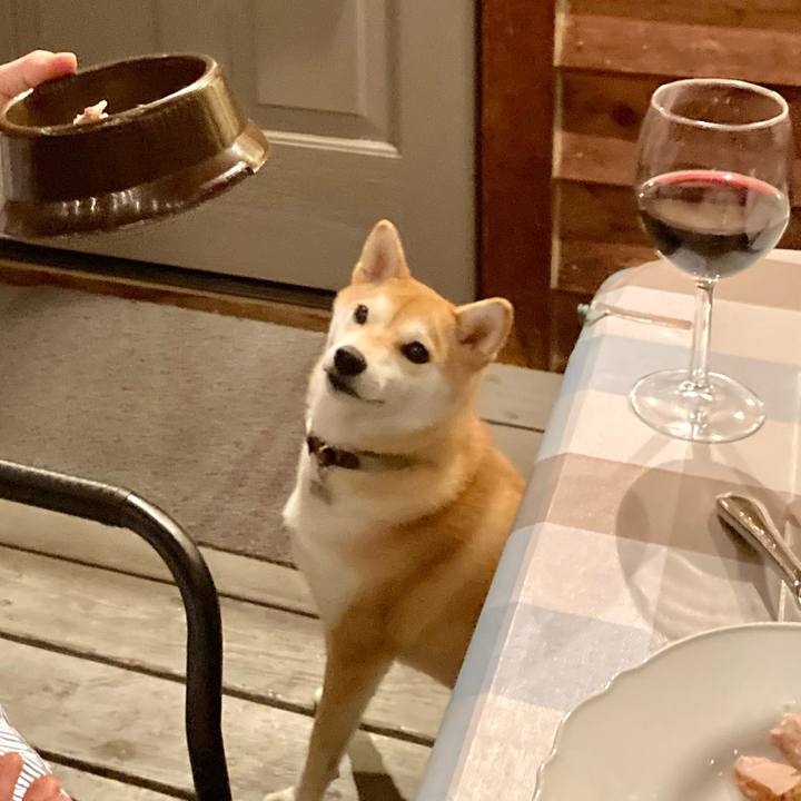 5e17fb05 383d 41d6 a034 77697df508bd 1728434404692