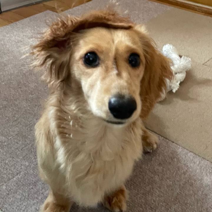 5e17fe0f 84d1 44ad ac51 c45493149cba 1683556085192