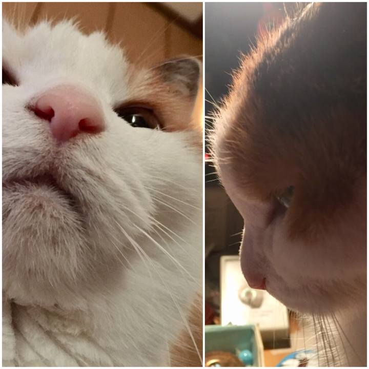 5e17fea0 42ba 460b 91c7 0cb222c39d44 1547876755598