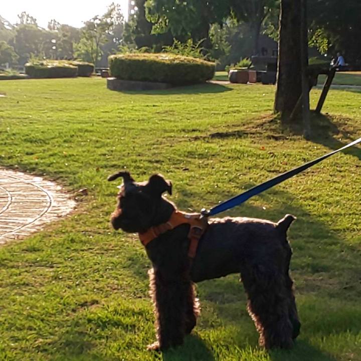 5e18172c ea9a 44ce b1ae 8ee1e6b0e05c 1752269337218