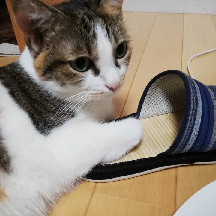 5e18175e c3ca 4223 b94f 78da405f48af 1600729190214