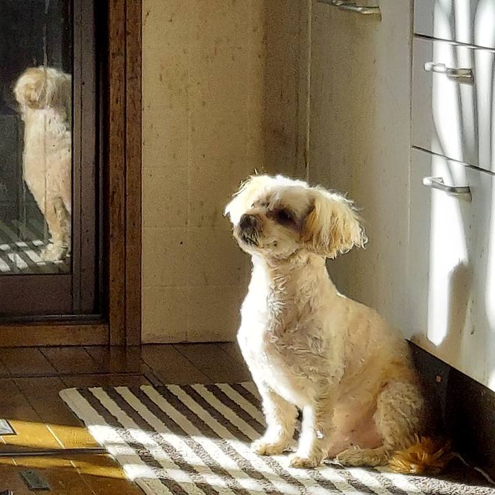 5e184b7e fd96 4387 8ed6 32ff5f302e67 1669959049073