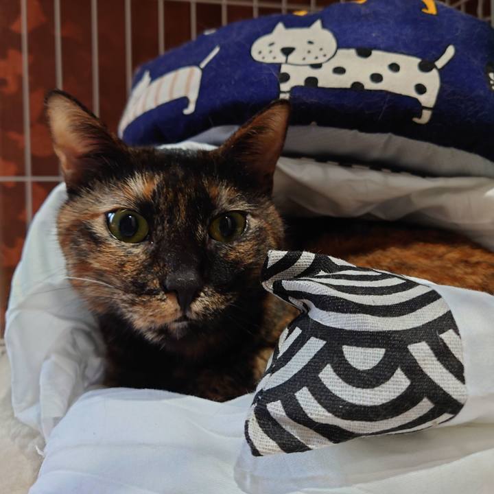 5e184be7 fd68 4d05 b346 f50eee78cc8f 1673845584182