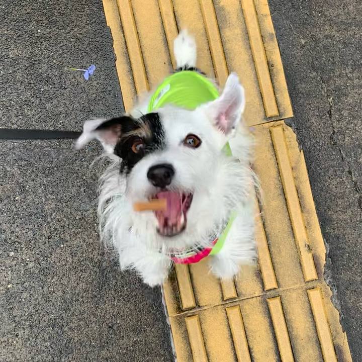 5e18c062 60f1 4c4a 96cb 6657817dc82e 1665014097257