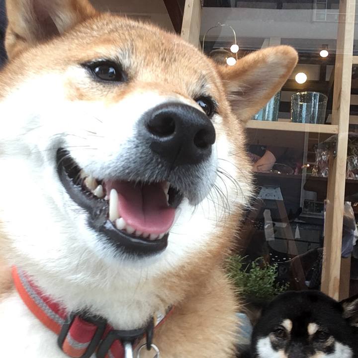 5e18de29 6c31 48e7 81c5 79e7132ba66e 1538857257644