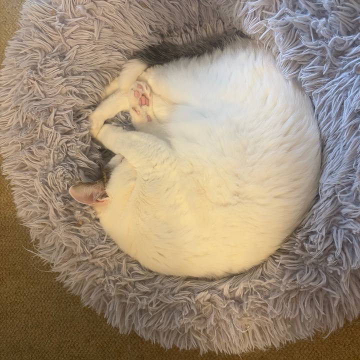 5e18e7dc a3fa 41b9 9405 be311f0ca649 1774919475618