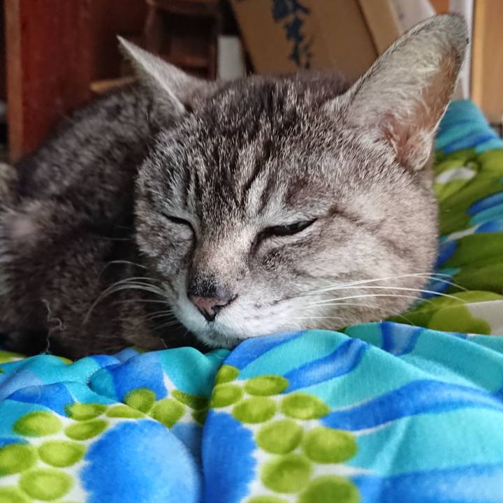 5e1931eb 1d4d 4213 b076 05d93b44a7fb 1560677589575