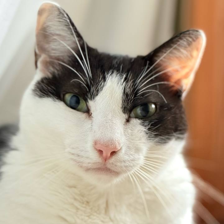 5e197ef0 8dc0 465b ac0c d4a37e3f0375 1728351288110