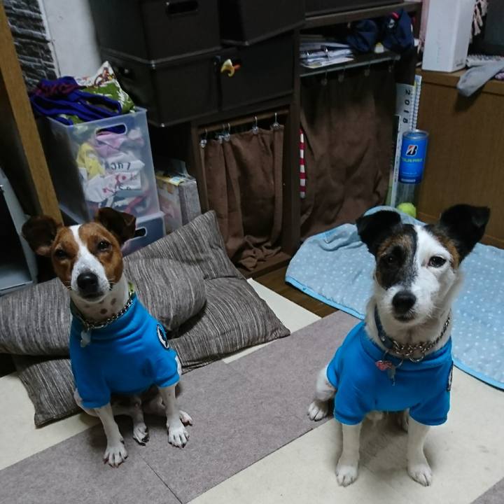 5e198342 2ee4 411a 9ac7 8f324f4b466a 1592518963199