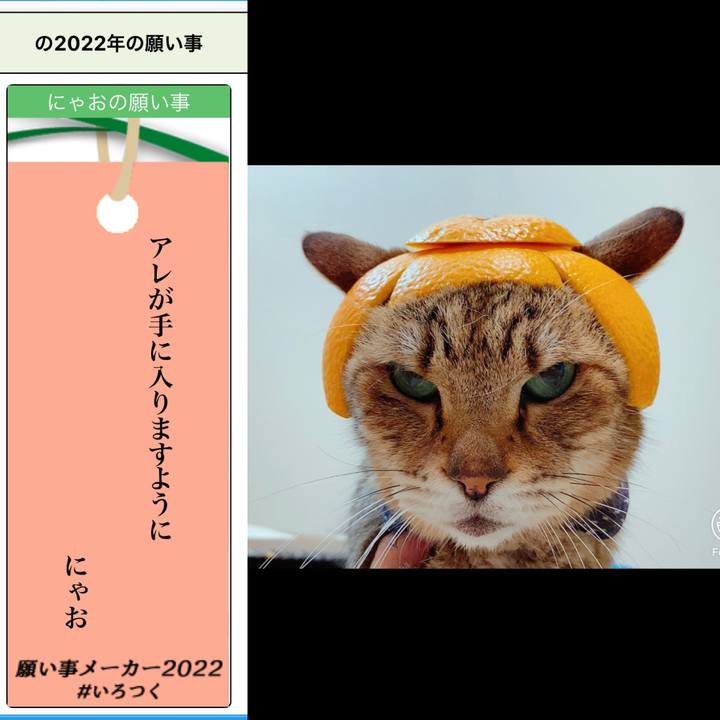 5e19d0b9 532f 4c6c 9f8b b92255df8263 1657017572659