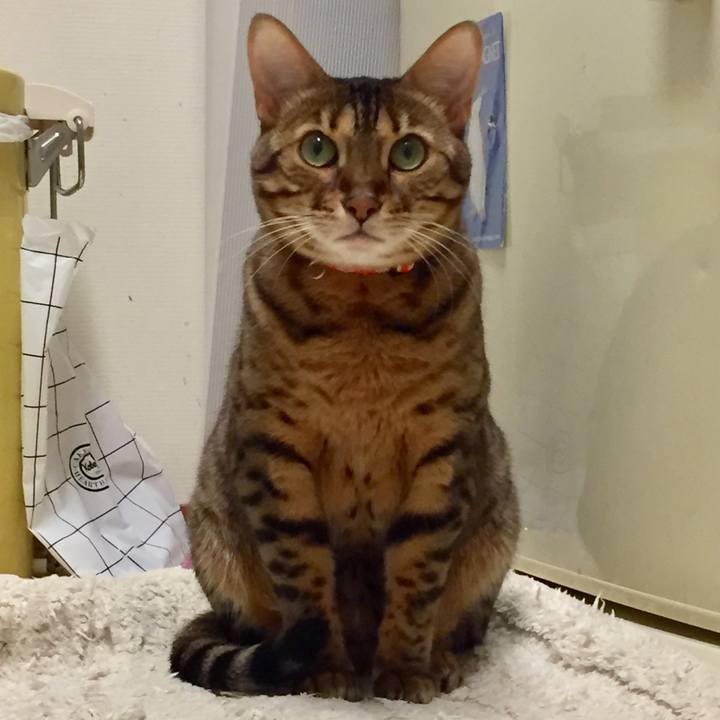 5e19e7c0 ce5f 4c93 a239 cb30c1c4d805 1510782788083