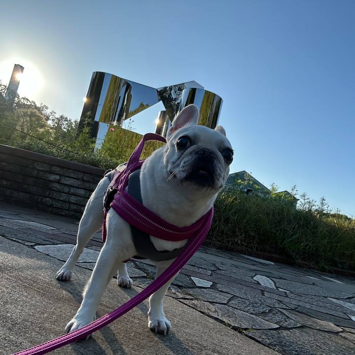 5e1a0a14 d299 4e5c 8671 b56ac5c0e600 1728869813579