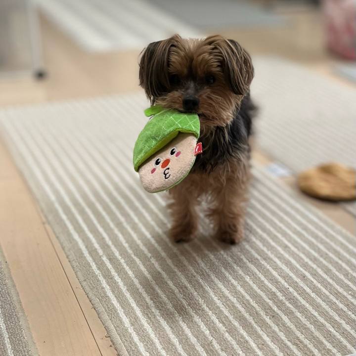 5e1a0ae0 f17c 4ff4 8b2e 4e5a7dcb9b2b 1647868652768