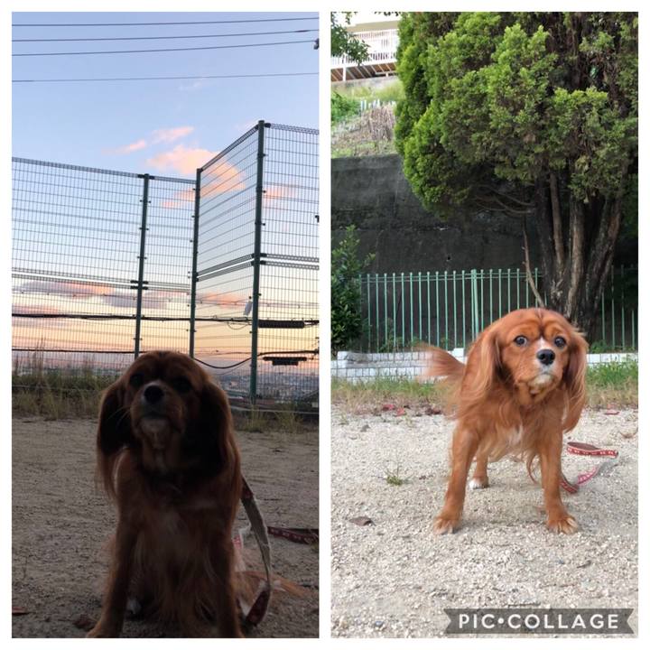 5e1a20c5 7e3d 4021 9e5c ff5db01094d2 1572876709646