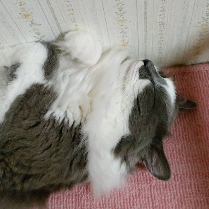 5e1a463a fcd2 4ee9 aa42 364a97364575 1594421540200