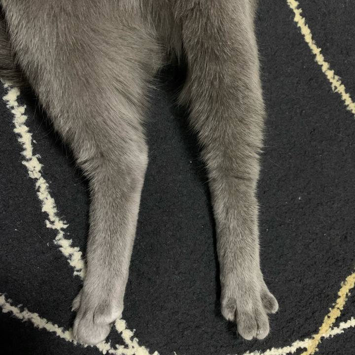 5e1a53dd 5f8e 4516 8f72 b83cfcf7f9b9 1667305053768