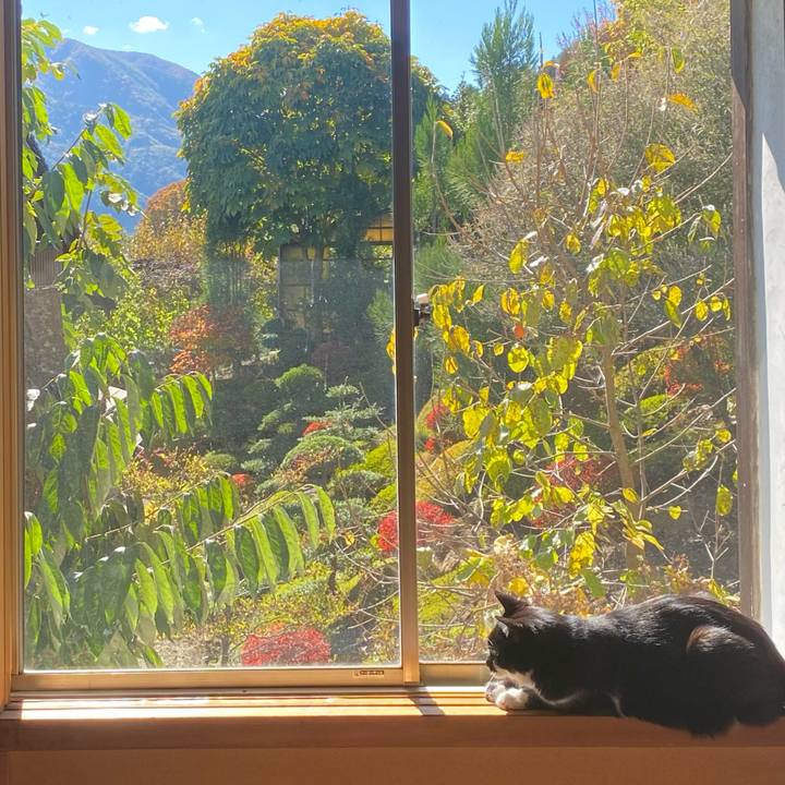 5e1a702f 508a 484d 98f1 accad464341d 1698646563848