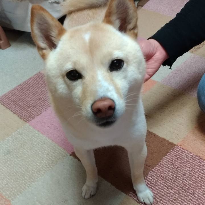 5e1ab96c 03eb 4ea0 a6e0 cf9803648c49 1581805662918