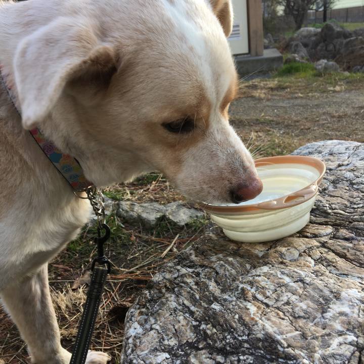 5e1af3cb 5584 42dd aac2 0f490cc6b7ae 1516231307436