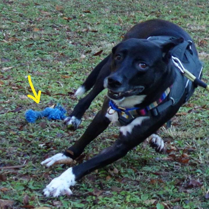 5e1af3e3 0a20 43d7 8558 541072eeabb9 1638407265664