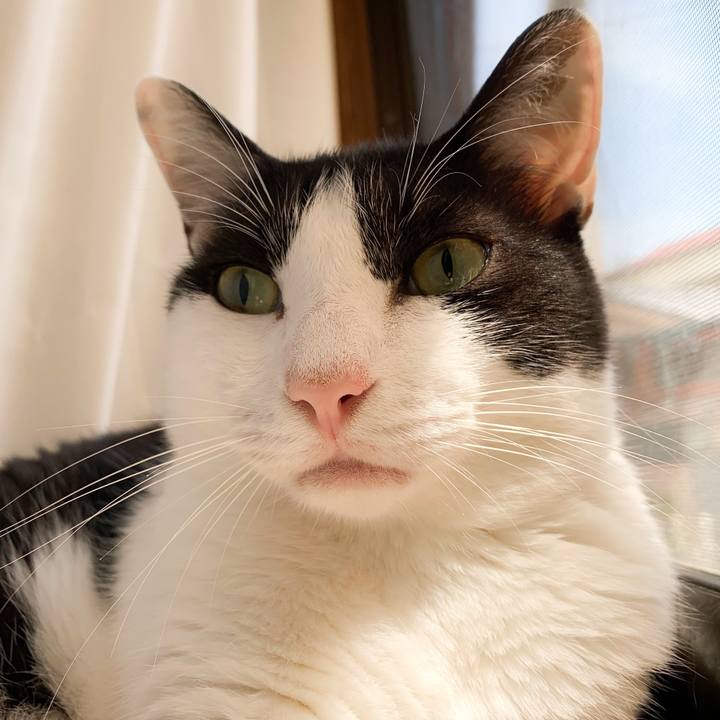 5e1b0380 24e5 4e74 bf2c ce4d91f1dd50 1568078250995