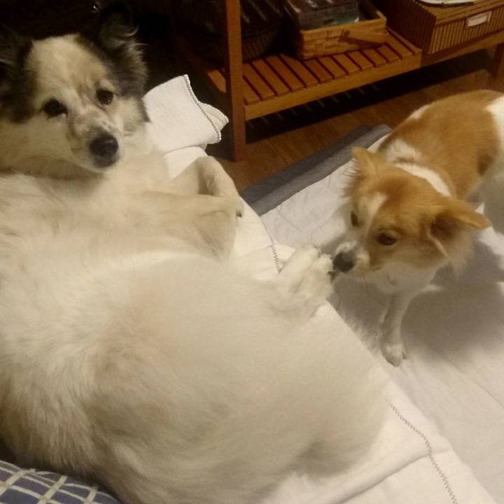 5e1b87d4 6998 435e 8d0e dfea8dac0bb6 1513424169439