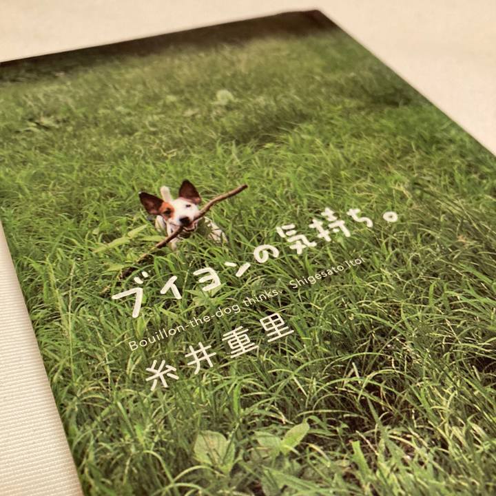 5e1b90fb ea2b 44b3 b1af 4b1360d5373d 1642177371098