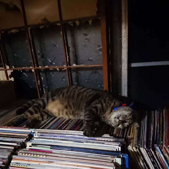 5e1ba8bb 2159 4f51 94a6 2008427a01c6 1656681217088