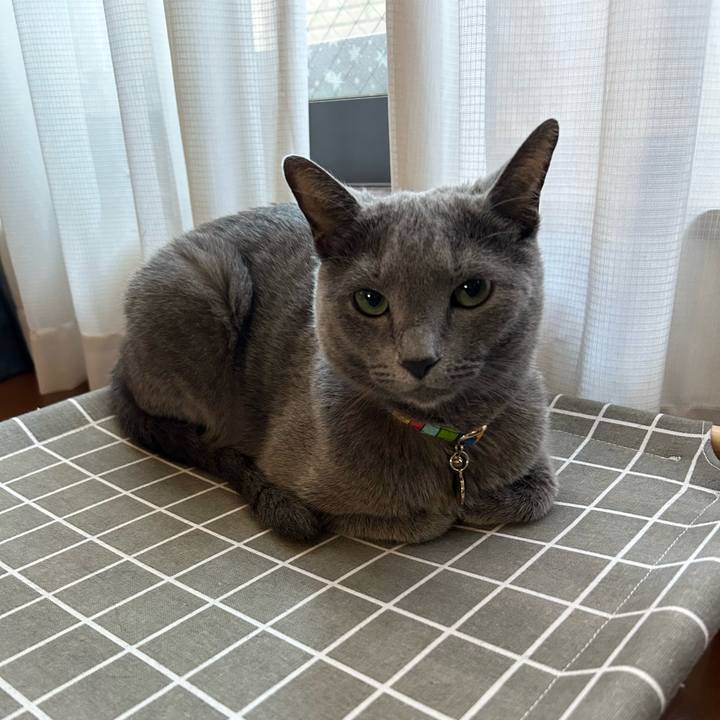 5e1bdd4f afdc 46f3 bd27 513407fce793 1690757760512