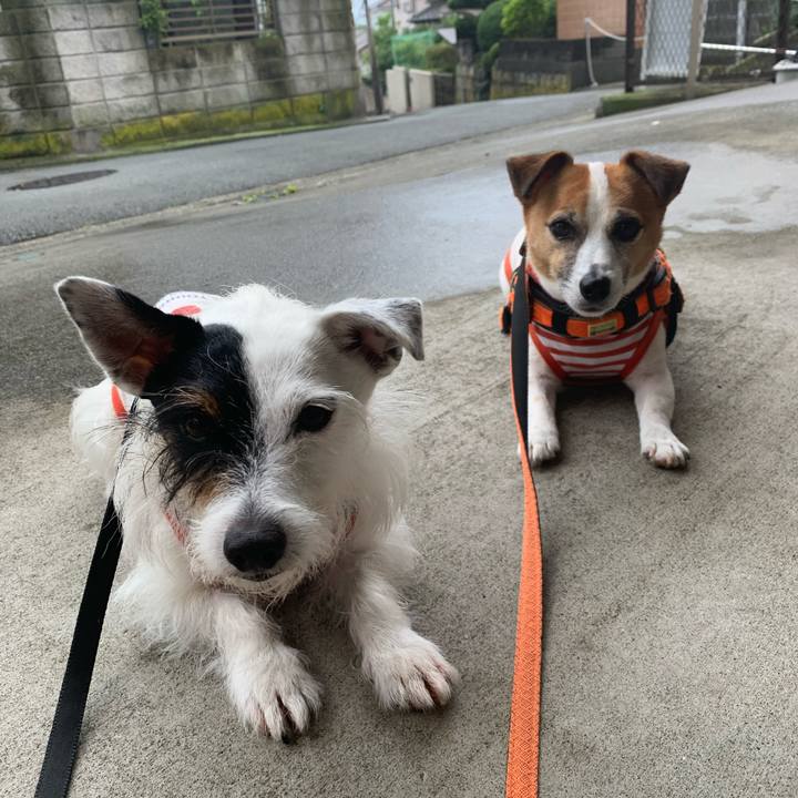 5e1bfc64 27fe 4395 9bc3 5a39a7591a71 1594025082075