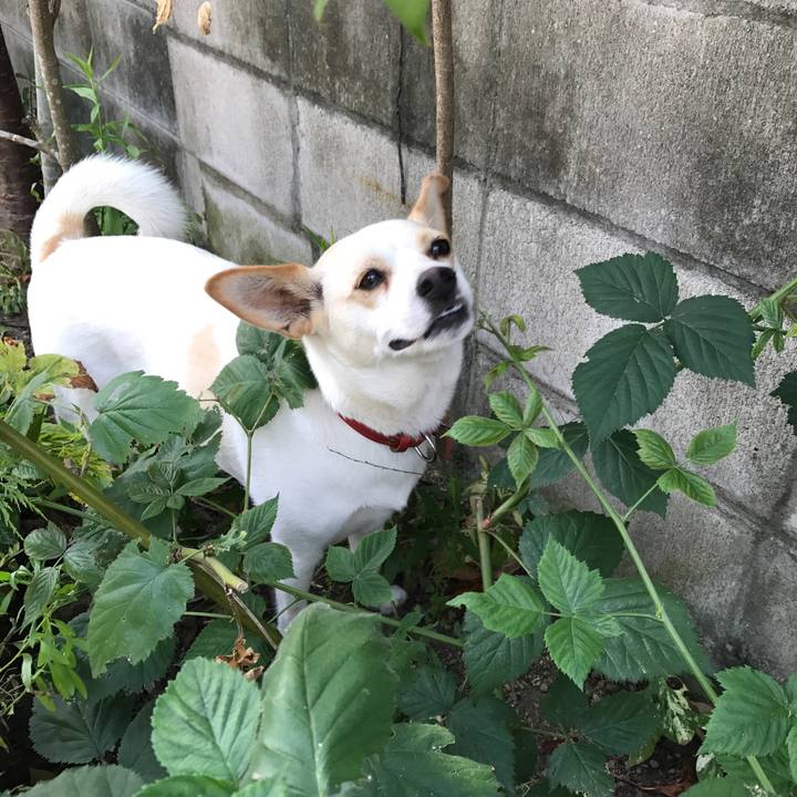 5e1c2d9a ab6e 45cd 9ca0 26568588d367 1534289035287