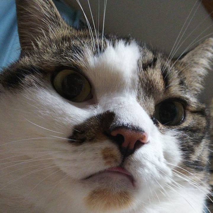 5e1c5021 75cd 4732 85e4 1e1ae8c6e7d9 1663680285438