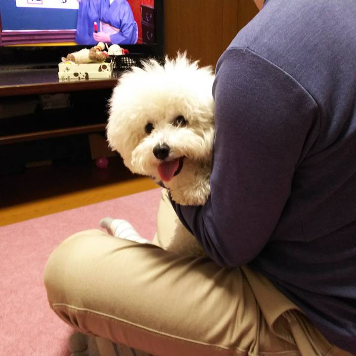 5e1c50cc 96e1 47c7 a046 17c6cbf6bd80 1510369995384