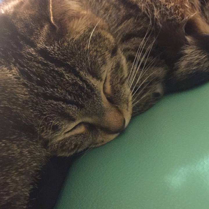 5e1c631d fac5 4675 b3e9 d1b435dd7f84 1552133401133