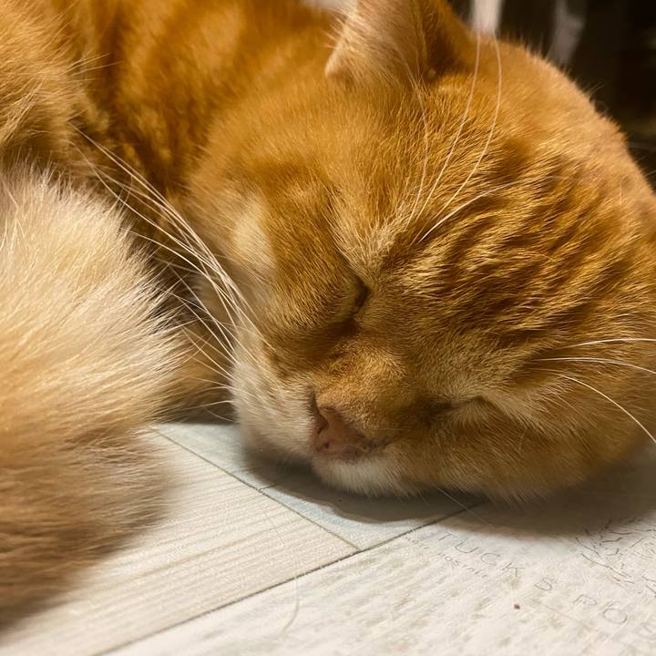 5e1c740c 5d19 48ae ae2a a2bea89f1730 1605745874539