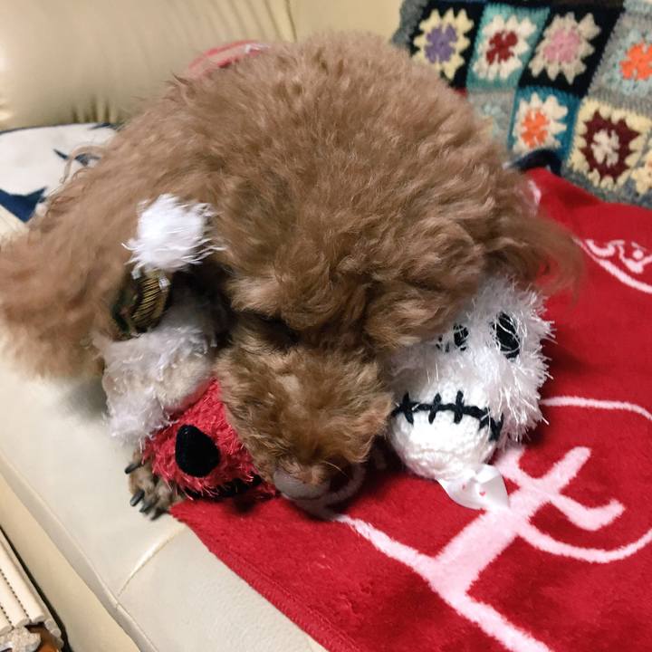 5e1ca540 6d39 46f9 944e 5ac8d4cf1478 1543926025111