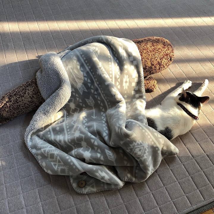 5e1cc34b c551 4159 9e44 232427023cd8 1646817227919