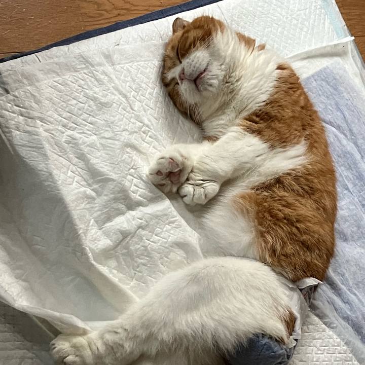 5e1ccceb 6e46 4d31 8c05 fc55d5e32beb 1763463165378