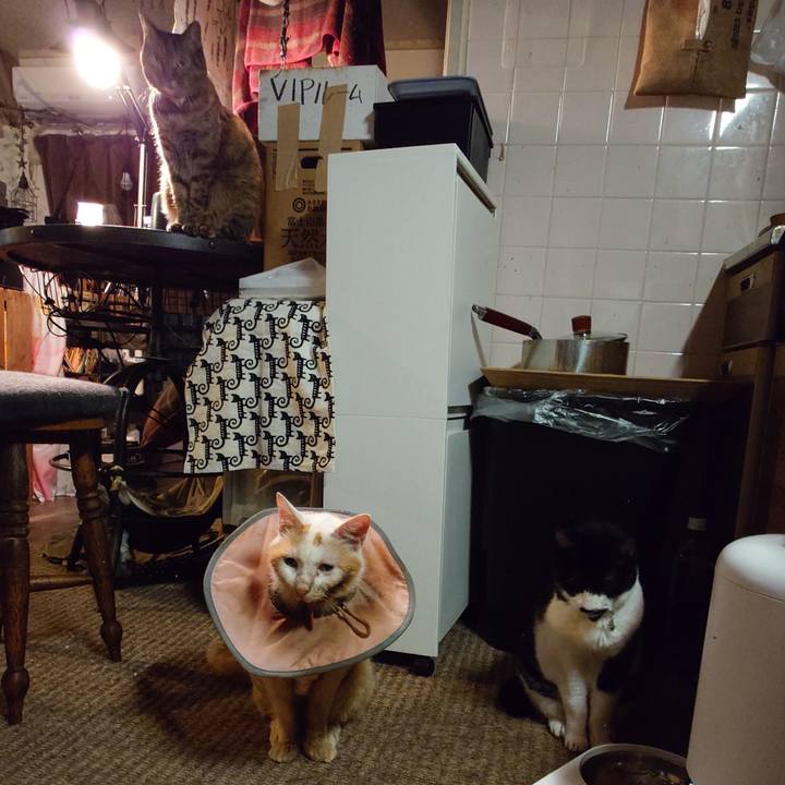 5e1d0f64 a2fa 4fdb bc1e b31990ff9859 1760449433240